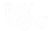PayNow